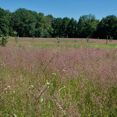 Gite Le Champ Libre Dompierre-Sur-Yon Bagian luar foto
