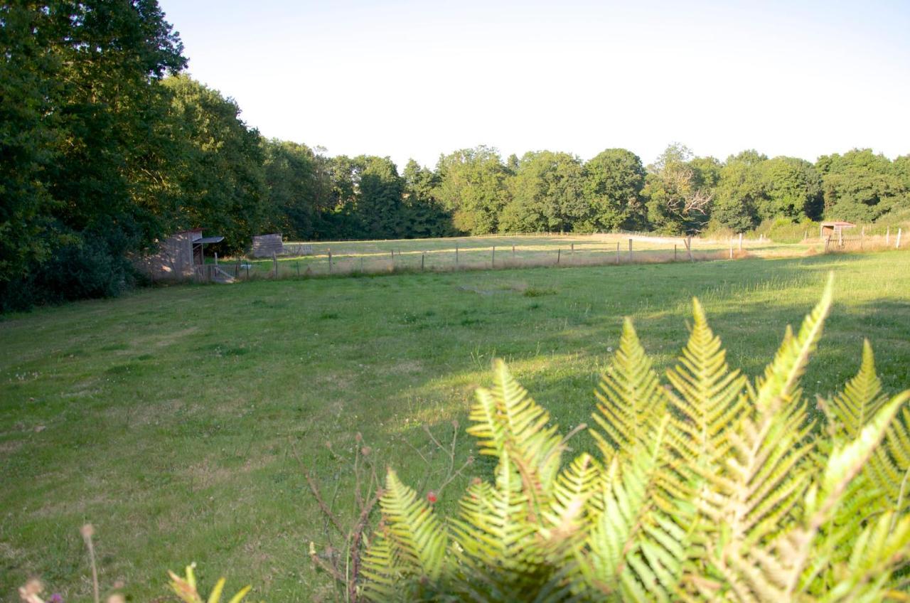 Gite Le Champ Libre Dompierre-Sur-Yon Bagian luar foto